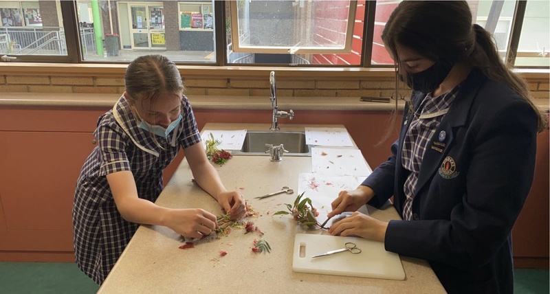 Darcy and Miabella using the dissecting equipment to pull apart the flowers